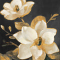 Image Not Available